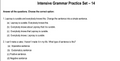 Intensive Grammar Practice Set – 14