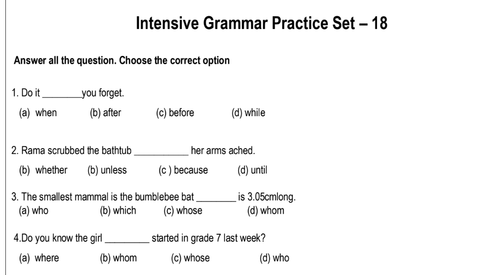 Intensive Grammar Practice Set – 18
