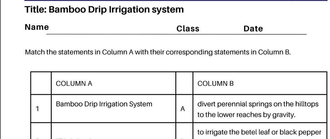 Bamboo Drip Irrigation system