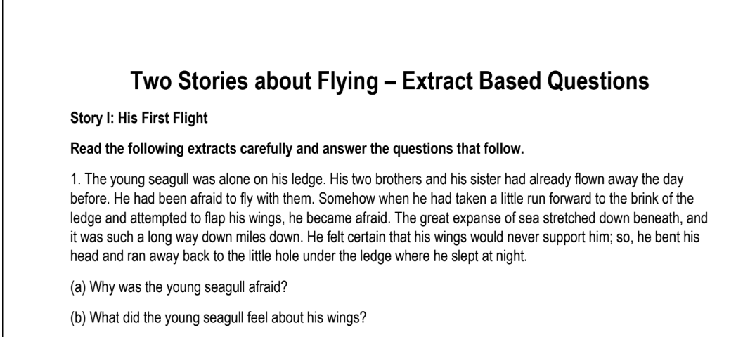 Two Stories about Flying – Extract Based Questions