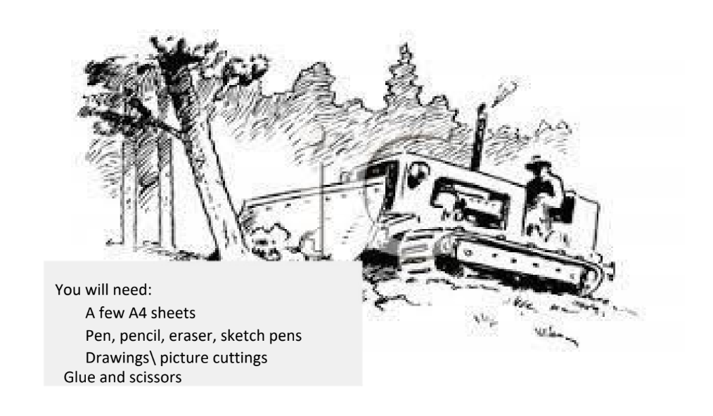 A letter from a tree