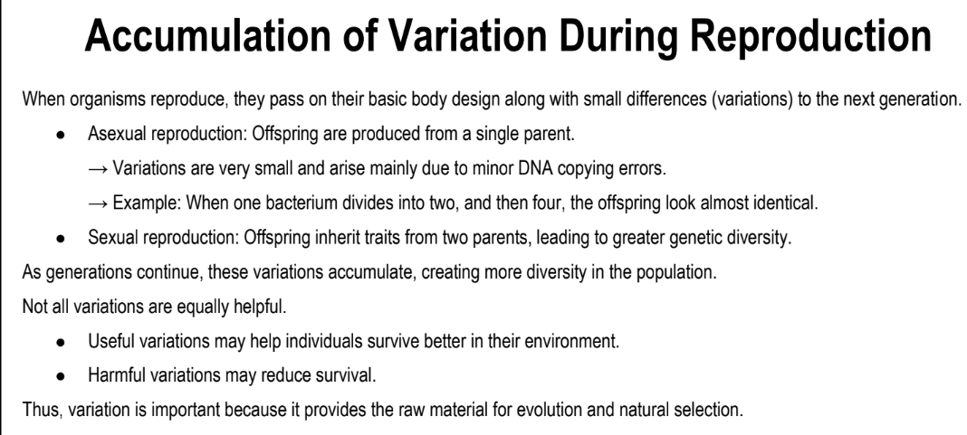 Accumulation of Variation During Reproduction