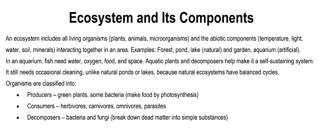 Ecosystem and Its Components