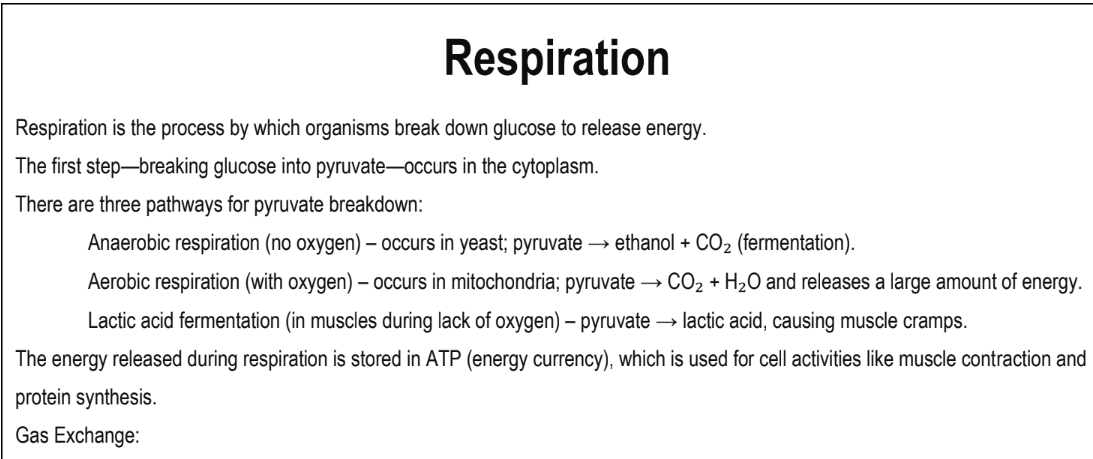 Respiration